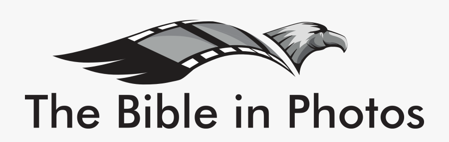 The Bible In Photos, Transparent Clipart