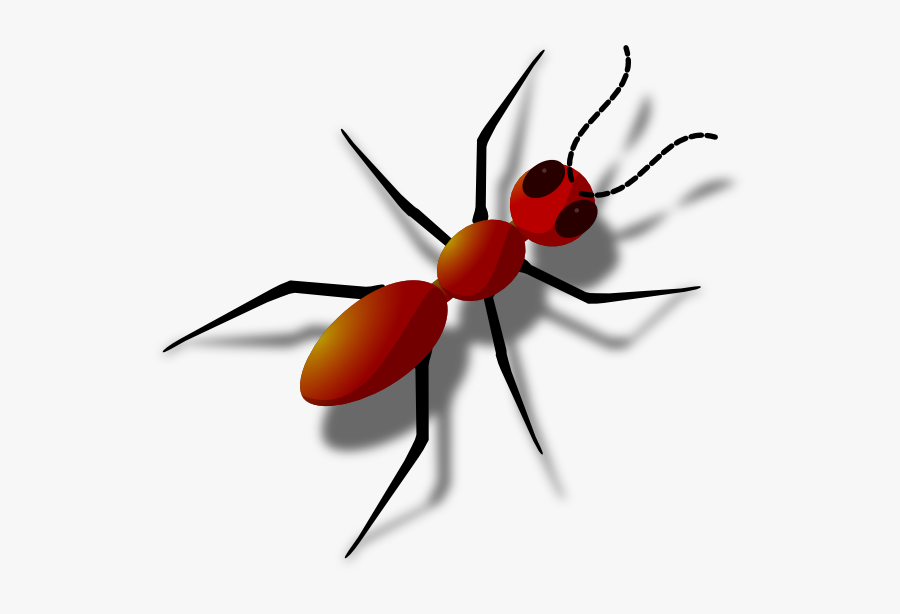 Hormiga Png, Transparent Clipart