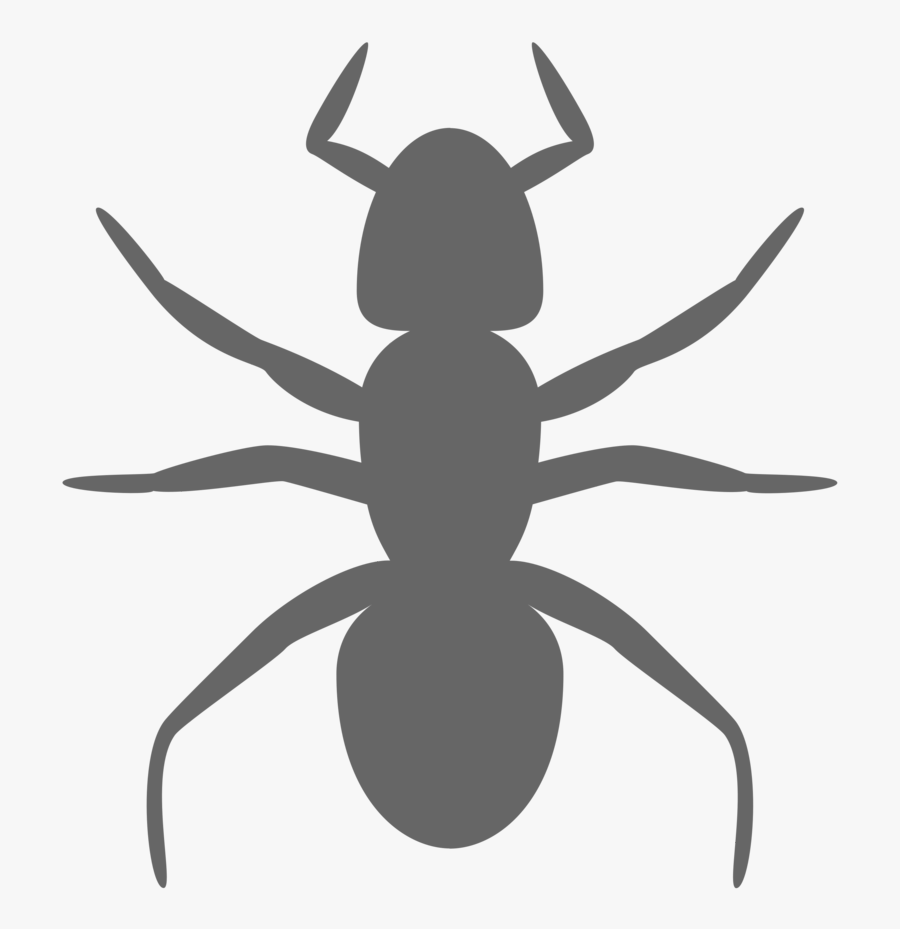 Transparent Carpenter Clipart Black And White - Ant Clip Art, Transparent Clipart