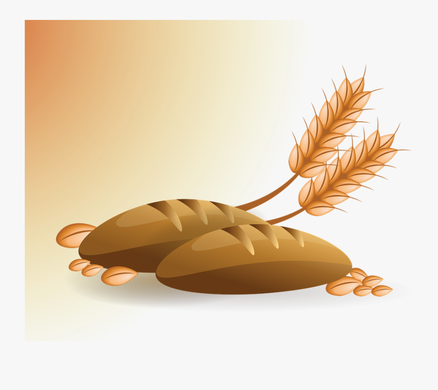 Wheat, Bread, Granules, Food, Flour, Grain, Bakery - Illustration, Transparent Clipart