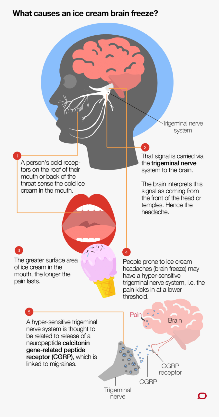 Causes Brain Freeze, Transparent Clipart