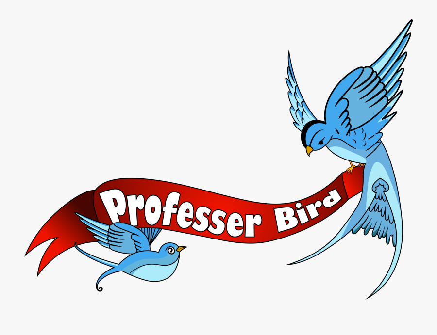 Professer Bird"s Reviews, Transparent Clipart