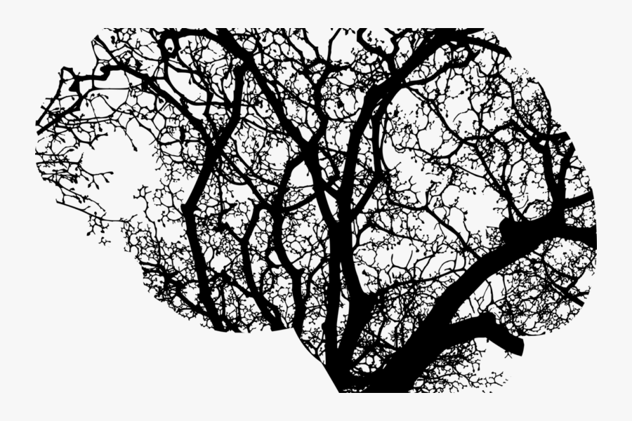 What Causes Multiple Sclerosis Drawn Image Of A Brain, - Mental Illness, Transparent Clipart