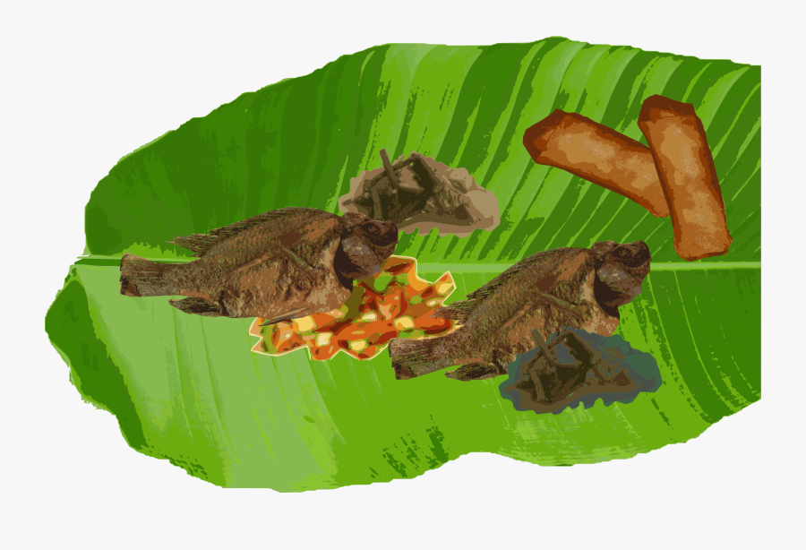 Turtle,reptile,leaf - Banana Leaf Clipart Png, Transparent Clipart