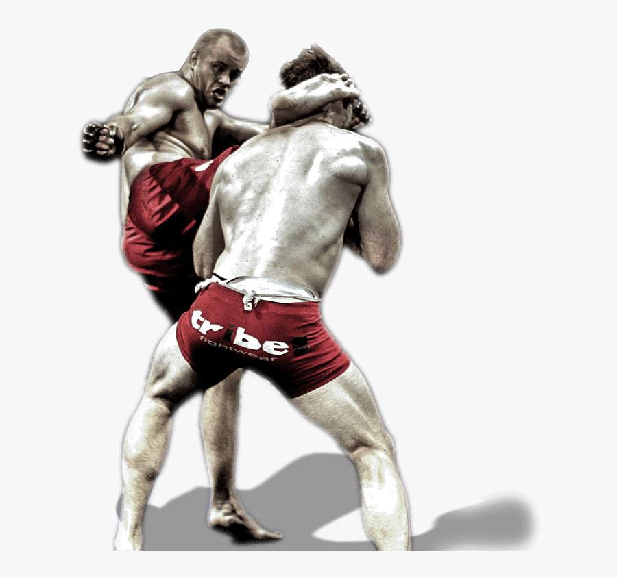 Mma Fight Png Clipart - Mma Png, Transparent Clipart