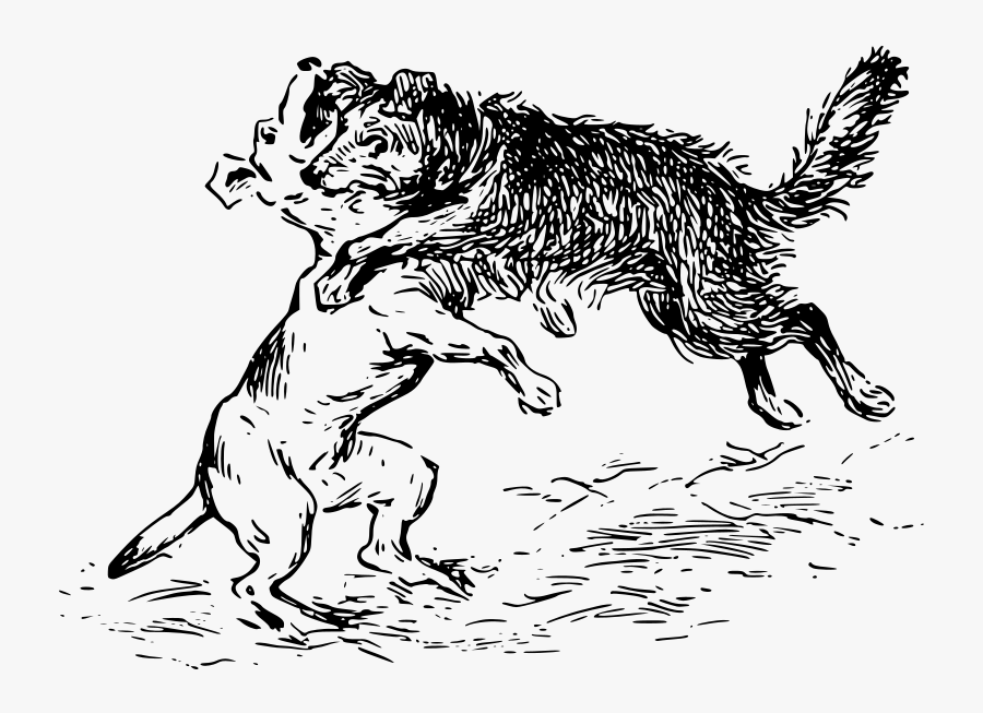 Dog Fighting Line Art, Transparent Clipart