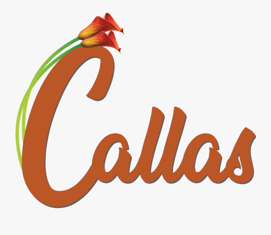 Murrells Inlet, Sc Florist - Illustration, Transparent Clipart