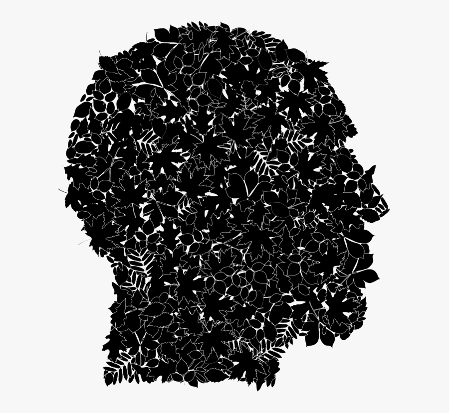 Plant,lace Wig,computer Icons - Illustration, Transparent Clipart