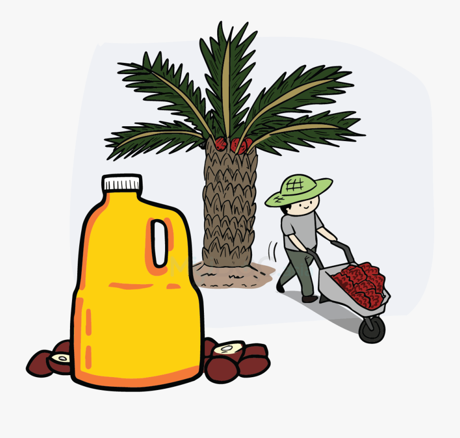 Transparent Fats Clipart - Palm Oil Tree Cartoon, Transparent Clipart