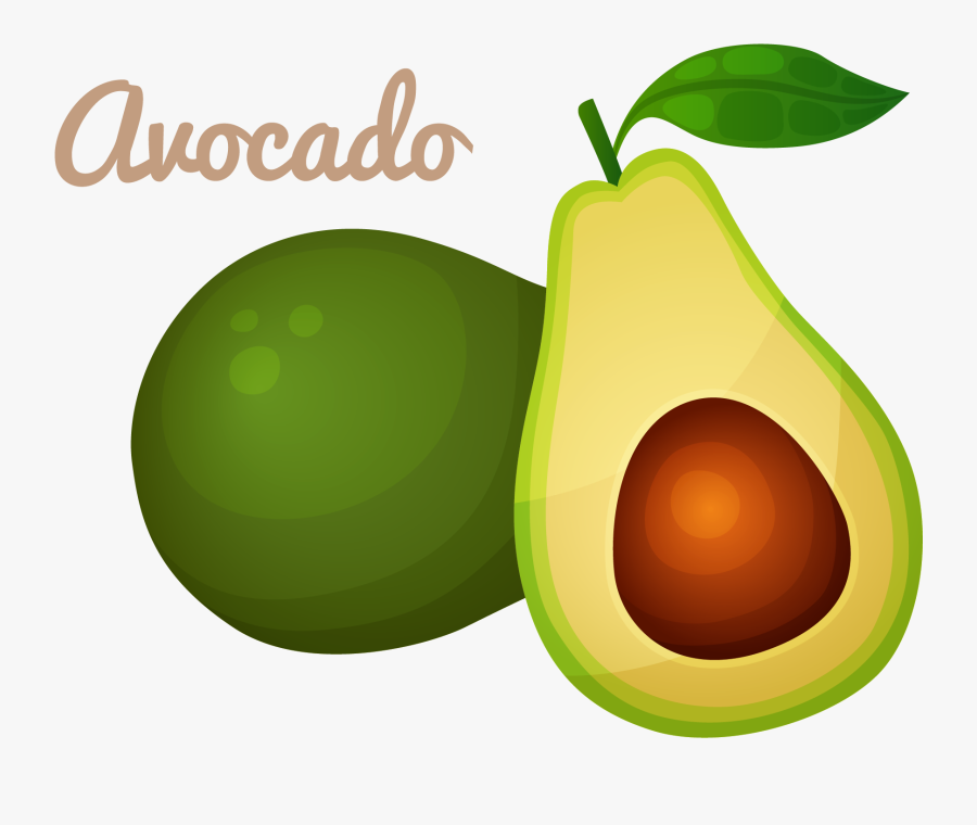 Avocado Oil Food Clip Art - Ember Js, Transparent Clipart