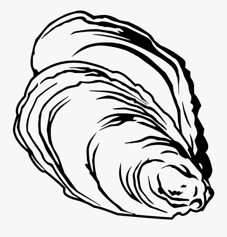 Oyster Clipart, Transparent Clipart
