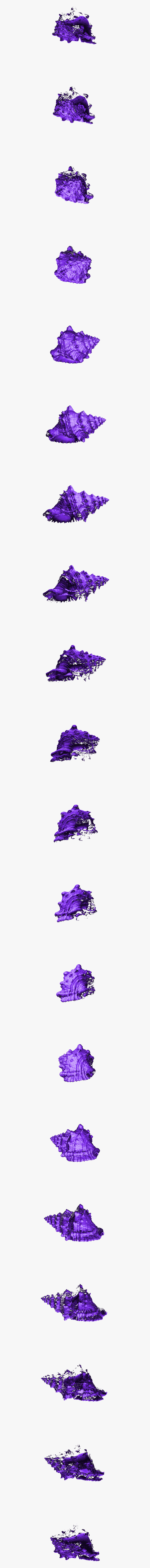 Sea Shells Clip Art, Transparent Clipart