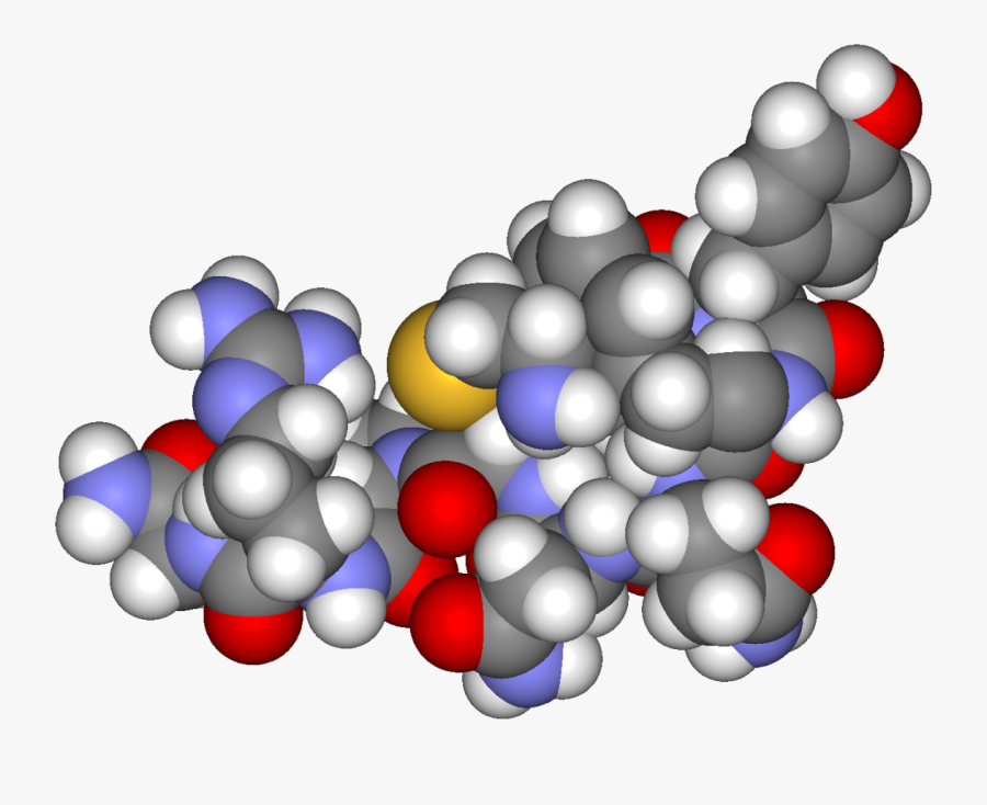 Arginine Vasopressin3d - Antidiuretic Hormone, Transparent Clipart