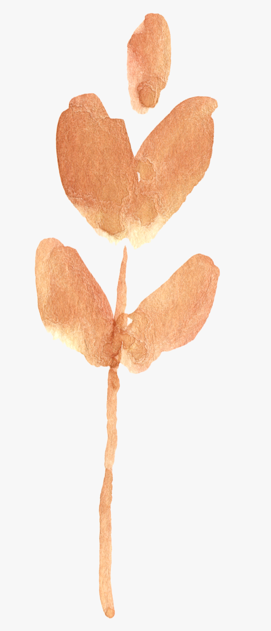 Penny Bun, Transparent Clipart