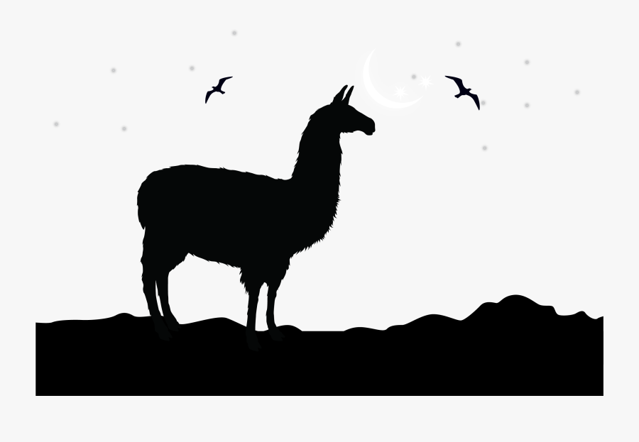 Svg Transparent Library Silhouette Clip Art At - Llama Silhouette, Transparent Clipart