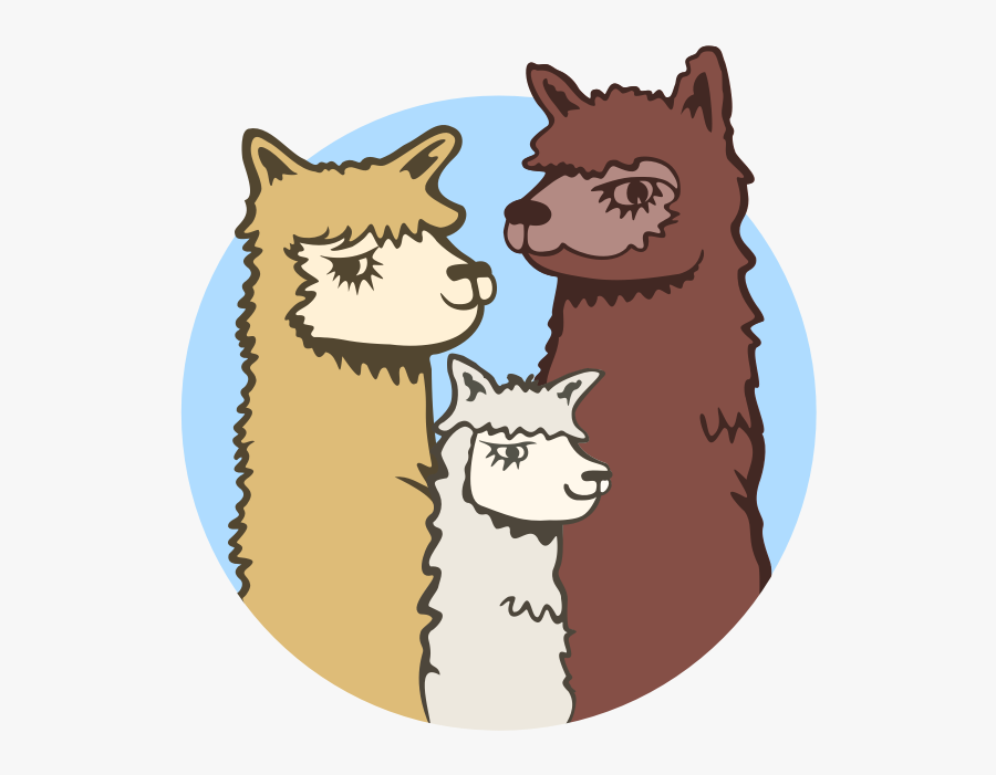 Acton Hill Alpacas - Cartoon, Transparent Clipart