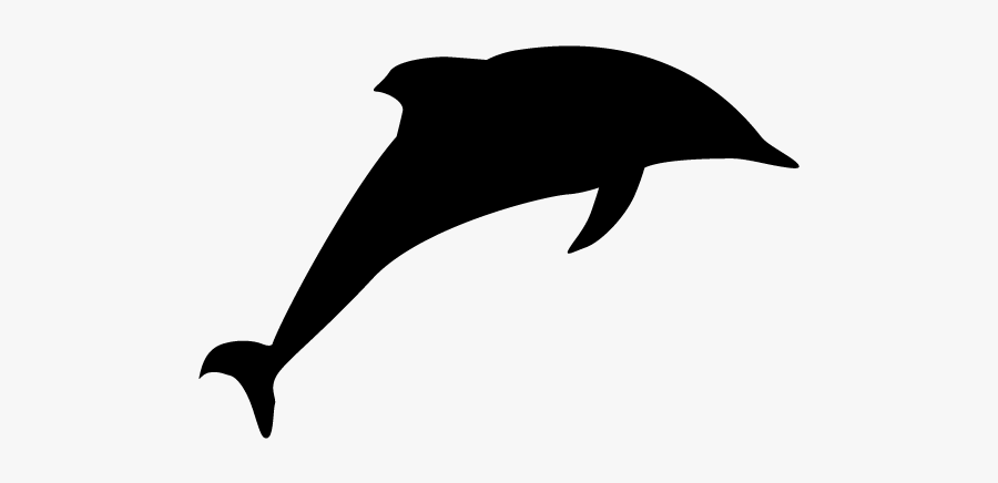 Common Dolphins, Transparent Clipart