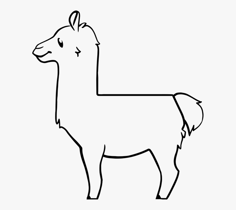 Llama, Mammal, Animal, Alpaca, Lama, Fur, Desert, Cute, Transparent Clipart