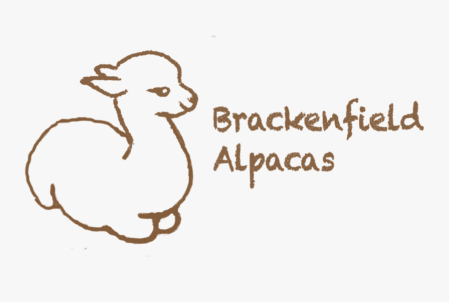 Alpacas - Cartoon, Transparent Clipart