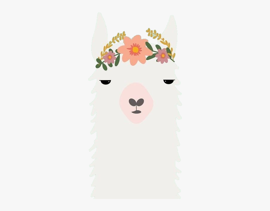#llamas #alpacasandllamas #alpacas #alpaca #pictureoftheday - Llama With Flower Crown, Transparent Clipart