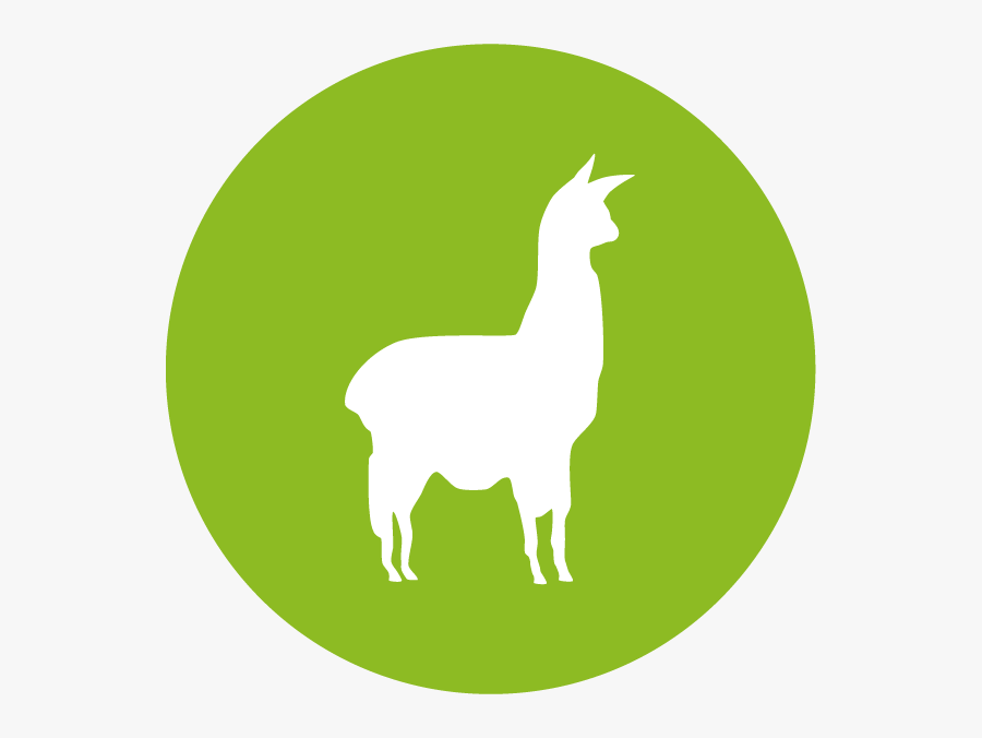 Alpacaicon - Llama, Transparent Clipart