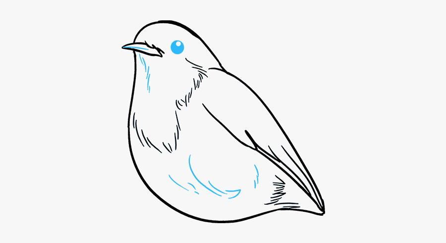 How To Draw Robin - Easy To Draw Robin, Transparent Clipart