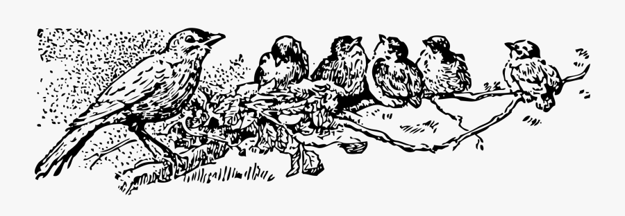 Art,monochrome Photography,carnivoran - Scalable Vector Graphics, Transparent Clipart