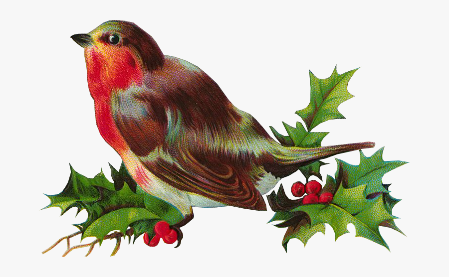 Hummingbird, Transparent Clipart
