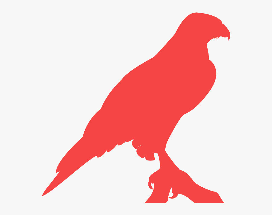 Halcon Silueta, Transparent Clipart