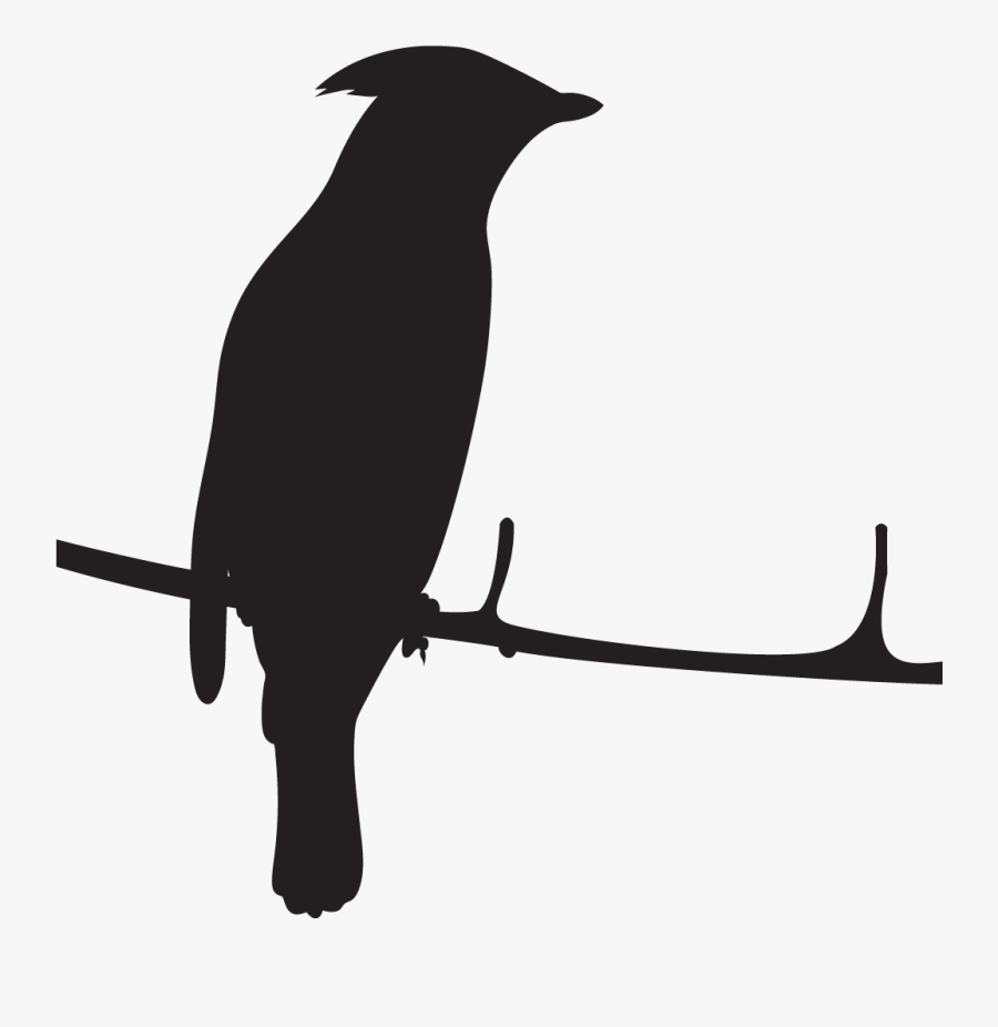 Cedar Waxwing Silhouette, Transparent Clipart