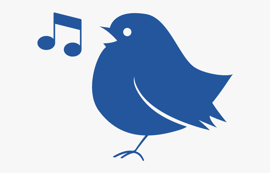 Rockin’ Robins - Mountain Bluebird, Transparent Clipart