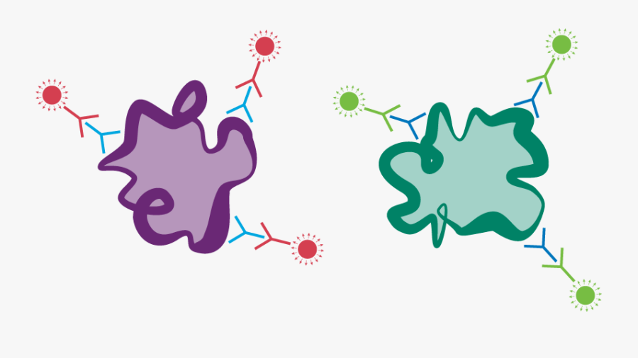 Post 7 Image, Transparent Clipart