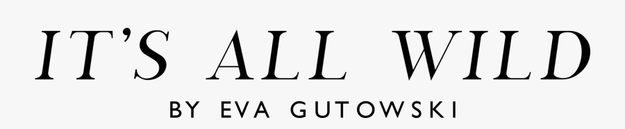 Its All Wild Logo, Transparent Clipart