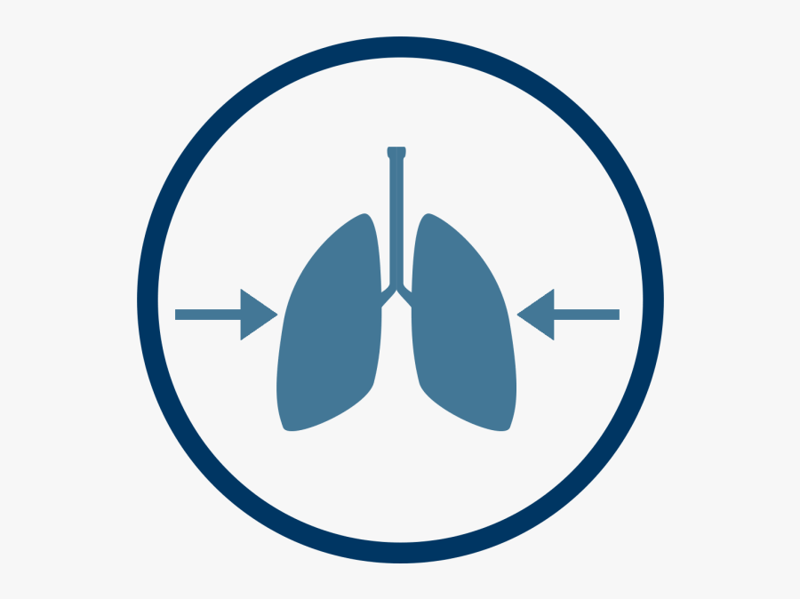 Circle, Transparent Clipart