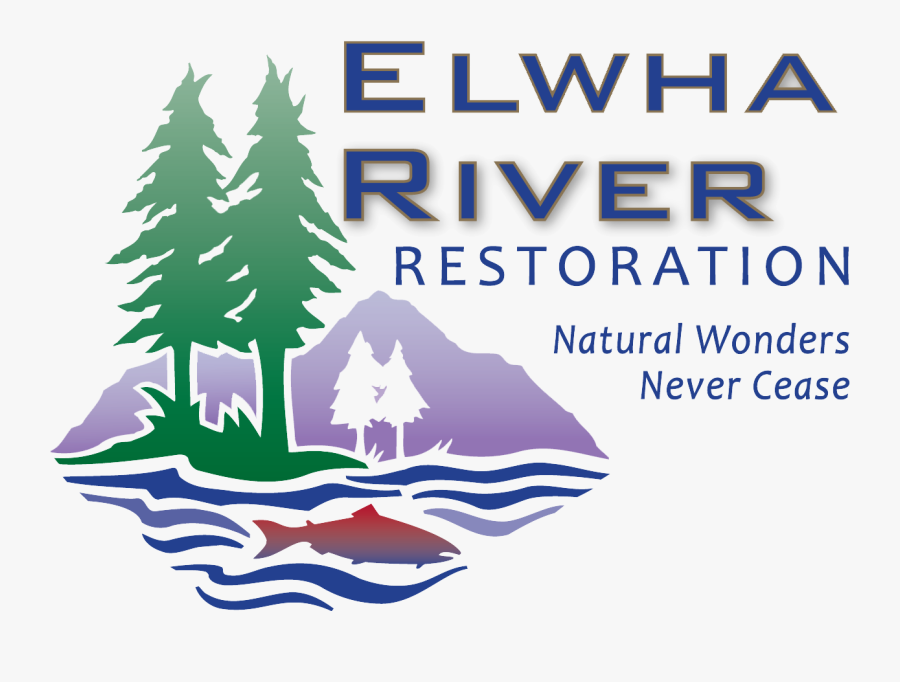 Bom Senso Fisioterapia, Transparent Clipart