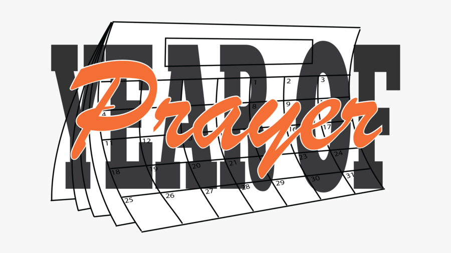 Graphic Design, Transparent Clipart