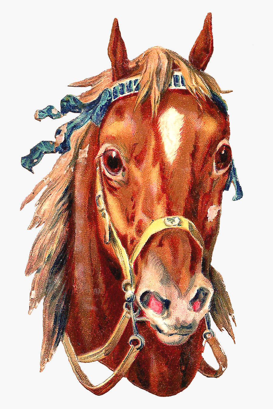 Transparent Schwein Clipart - Vintage Png Horse Race, Transparent Clipart