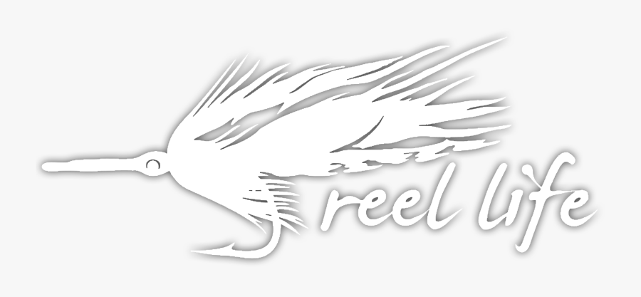 Tarpon Fly Decal, Transparent Clipart