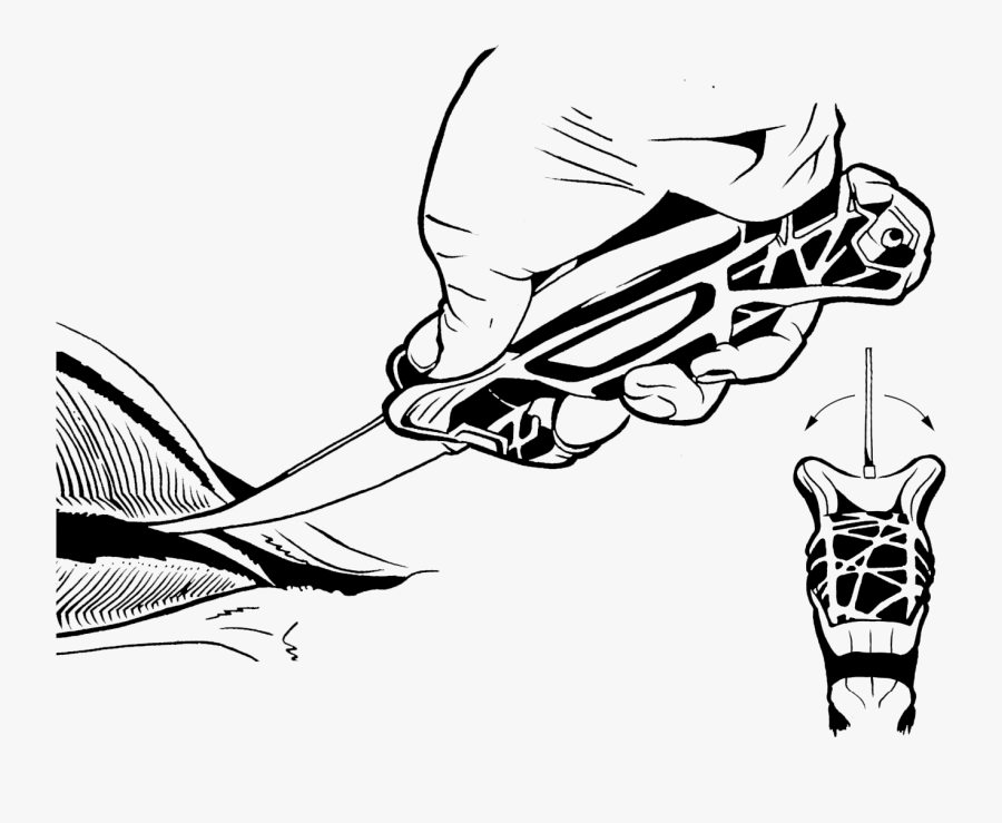 Illustration, Transparent Clipart