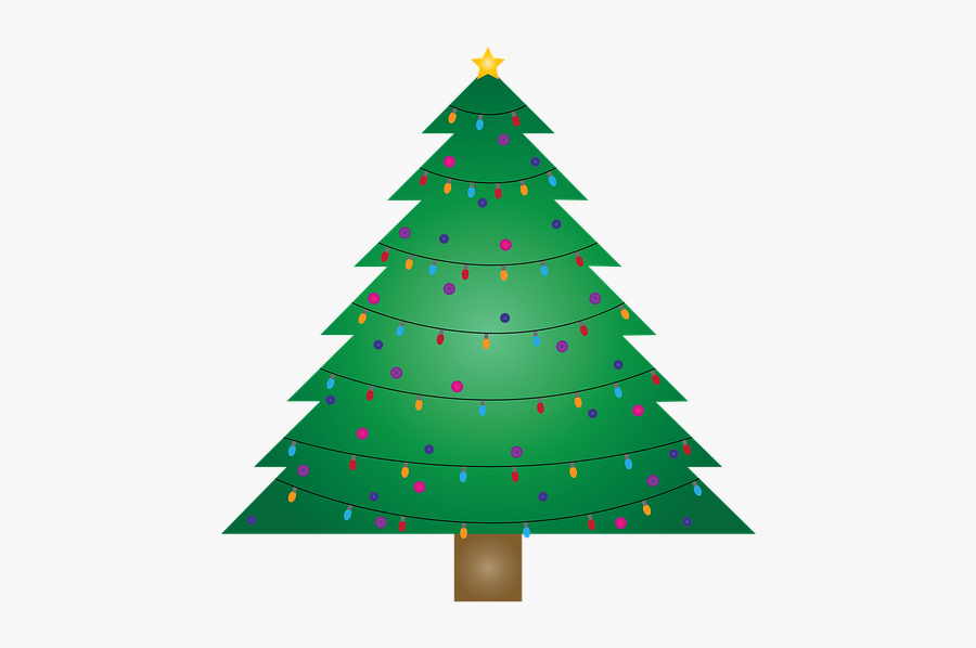 Christmas Tree, Christmas, December, Holiday - Blank Cartoon Christmas Tree, Transparent Clipart