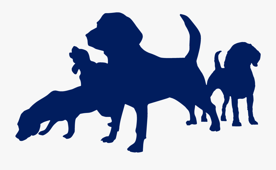 Dog Catches Something, Transparent Clipart