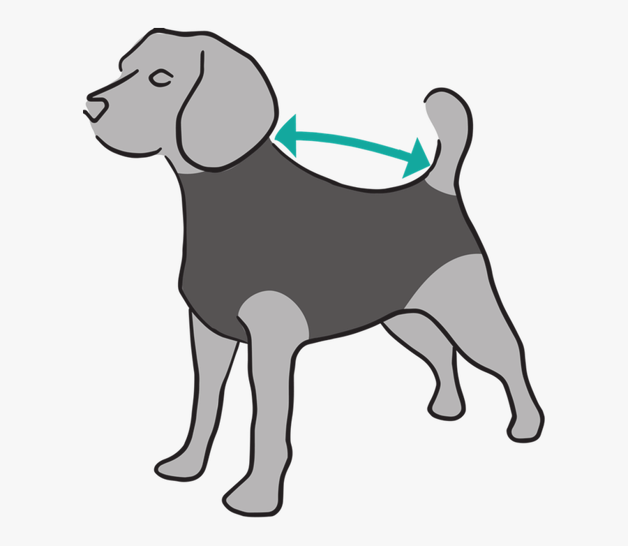 Recovery Sleeve Cat, Transparent Clipart