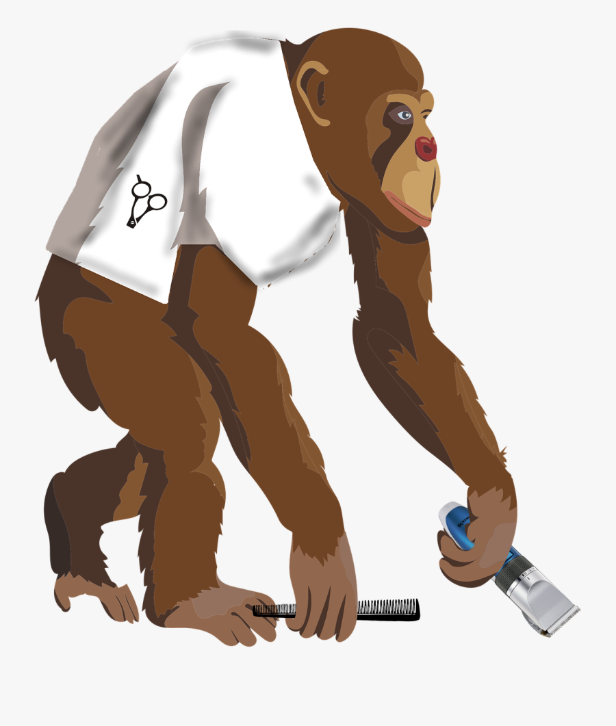 Monkey Barber Hairdresser Free Picture - 猿猴 卡通, Transparent Clipart