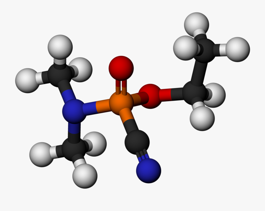 Human, Transparent Clipart