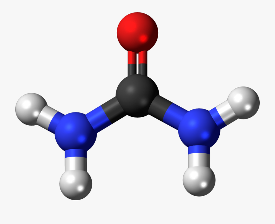 Free To Use & Public Domain Chemistry Clip Art - Urea Molecule, Transparent Clipart