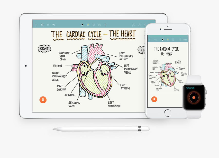 5 Notes Taking - Ipad Take Notes, Transparent Clipart