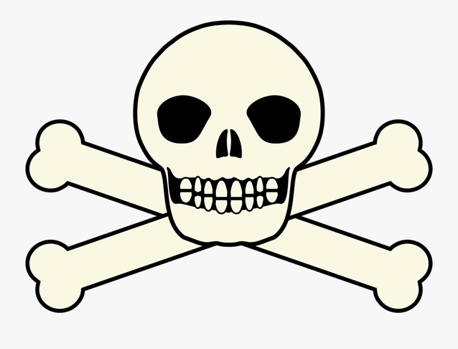 หัว กะโหลก Png, Transparent Clipart