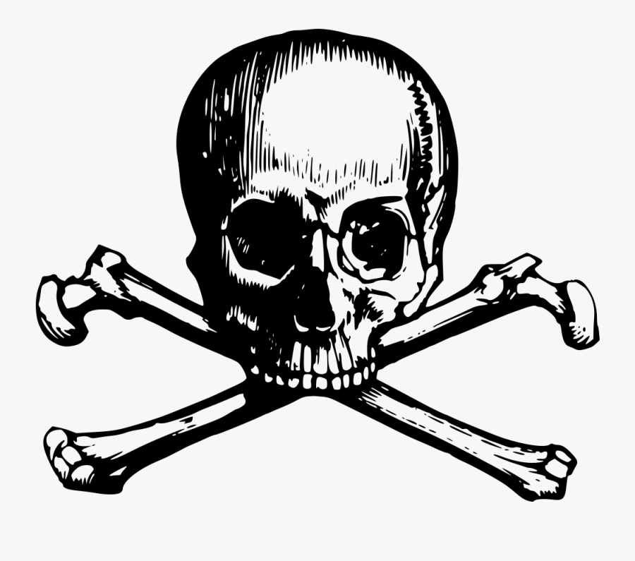 Skull And Crossbones - Skull Crossbones, Transparent Clipart