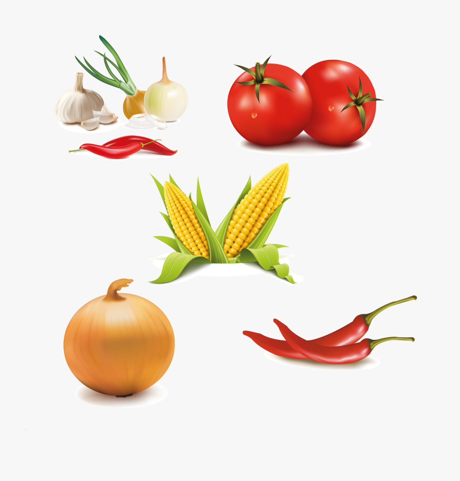 Raw Corn, Transparent Clipart