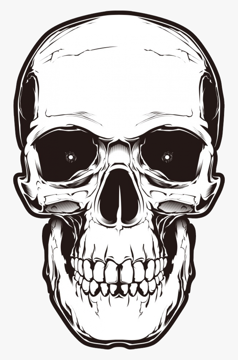Transparent Background Skull Png, Transparent Clipart